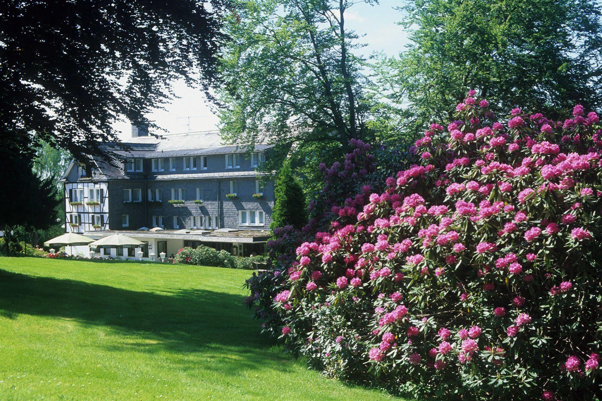 Hotel Jagdhaus Wiese Schmallenberg Εξωτερικό φωτογραφία